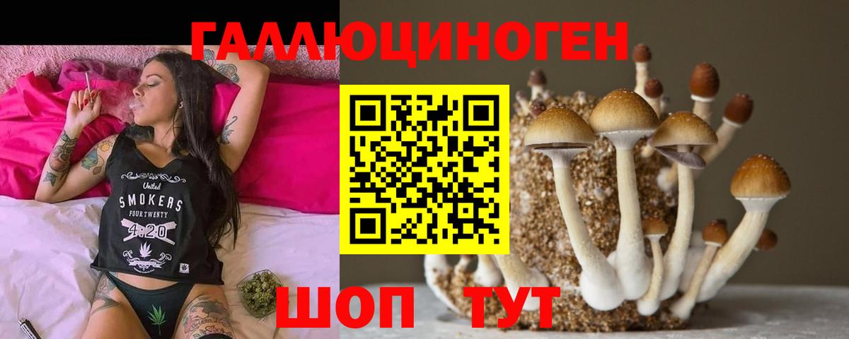 Галлюциногенные грибы ЛСД  Вход с VPN  Прохладный 